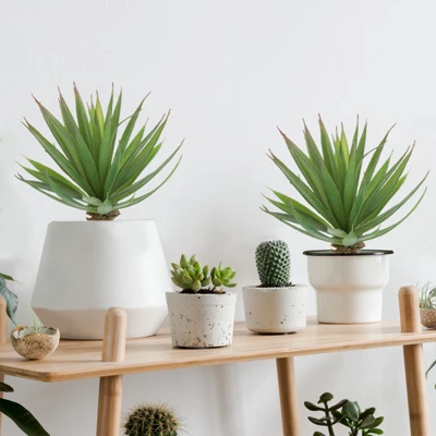 Unique Bargains Realistic Look Low Maintenance Real Touch Artificial Succulent - Image 3