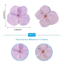 P Light Purple Natural Dried Craft Accessories Dried Pressed Flower 0.6-1 Inch Light Purple 48 Pcs